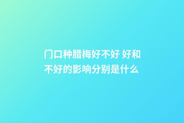 门口种腊梅好不好 好和不好的影响分别是什么